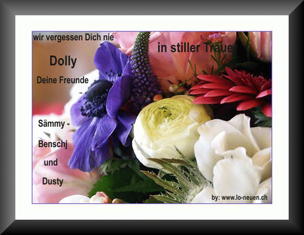Lotti und die Peki Brder Dusty,Benschj & Smmy trauern um Dolly, danke ihr lieben.